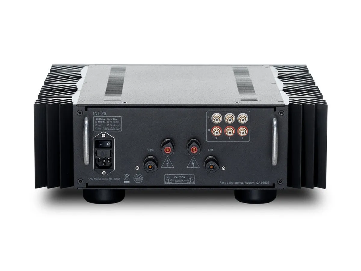 INT-25 Amplifier